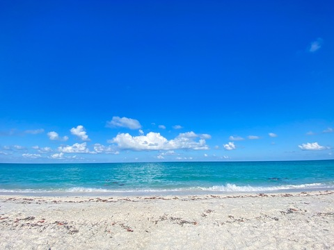 Leaked nnniiikkkaaay header onlyfans leaked