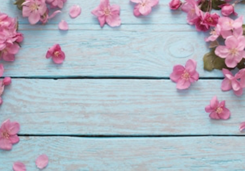 Leaked noellefans header onlyfans leaked