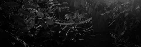 Leaked nofearbaby header onlyfans leaked