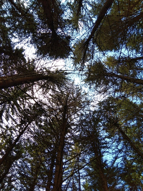 Leaked nzcheeky88master header onlyfans leaked