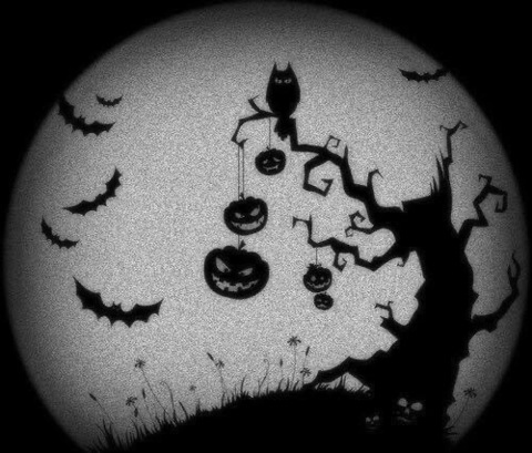 Leaked ogutierrez93 header onlyfans leaked