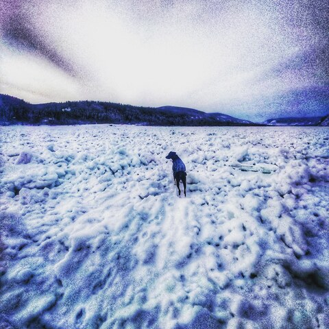 Leaked oldmanwillow header onlyfans leaked