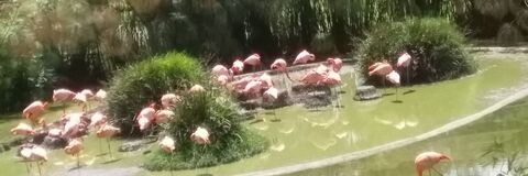 Leaked olgabathoryh header onlyfans leaked