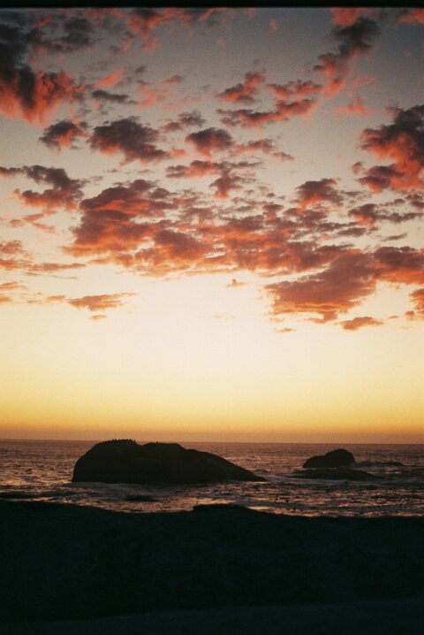 Leaked oliveoilolivia header onlyfans leaked