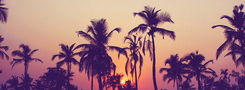 Leaked oliviabay header onlyfans leaked