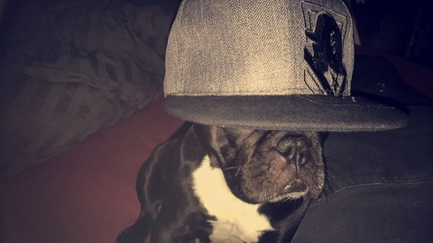 Leaked olsern header onlyfans leaked