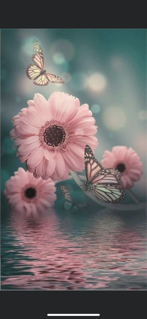 Leaked omega-wolf-baby header onlyfans leaked