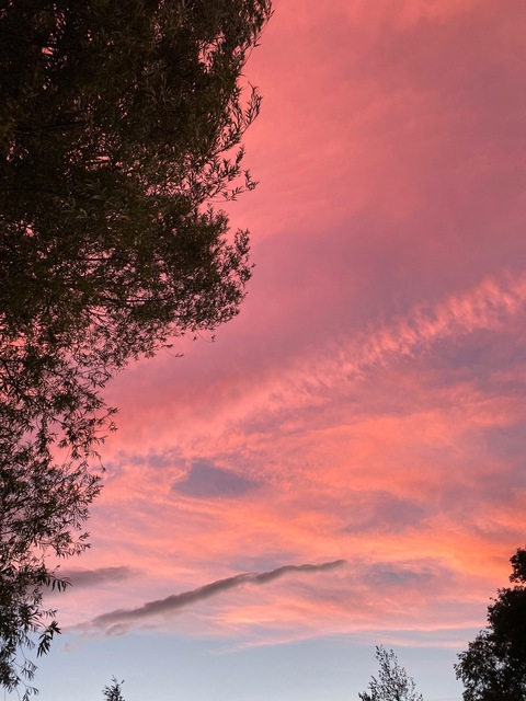 Leaked onlyerinn header onlyfans leaked