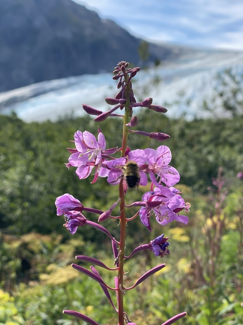 Leaked onthewalliwalk header onlyfans leaked