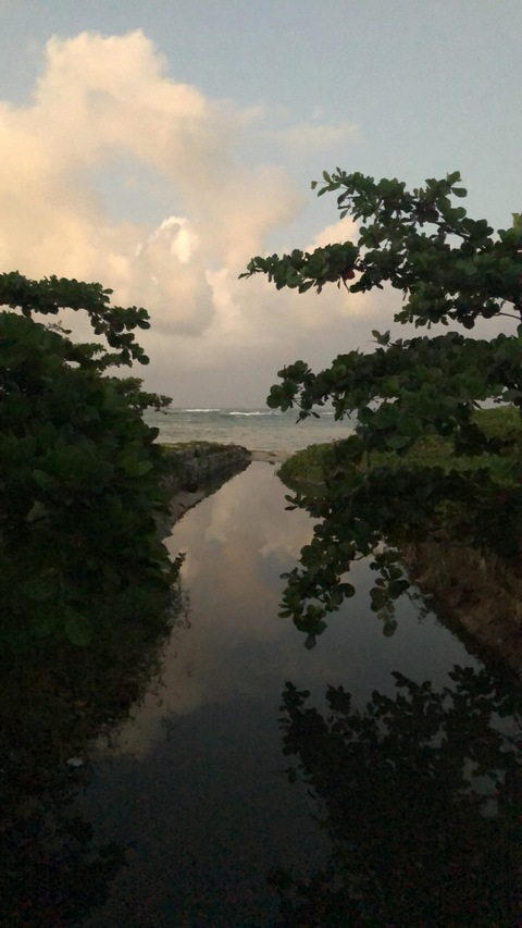 Leaked ostrology header onlyfans leaked