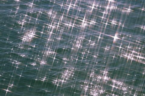 Leaked pam.elizabeth header onlyfans leaked