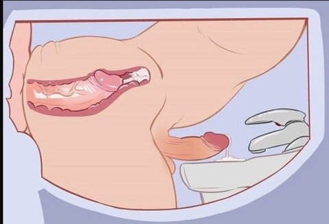 Leaked papilatin21 header onlyfans leaked