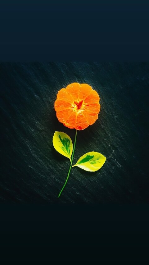 Leaked pearl96 header onlyfans leaked