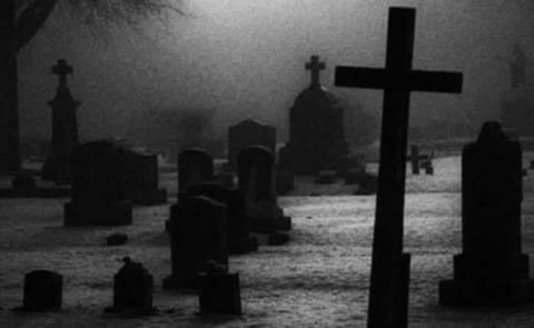 Leaked pet_succubus header onlyfans leaked