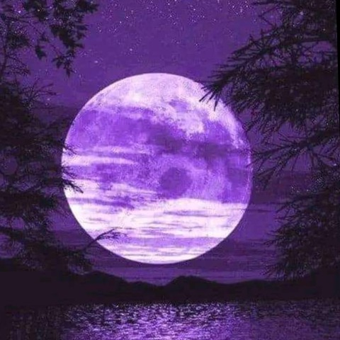 Leaked phoenixxrisingspirit header onlyfans leaked