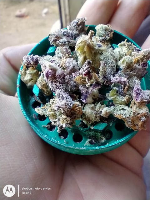 Leaked pimpinaintez32 header onlyfans leaked