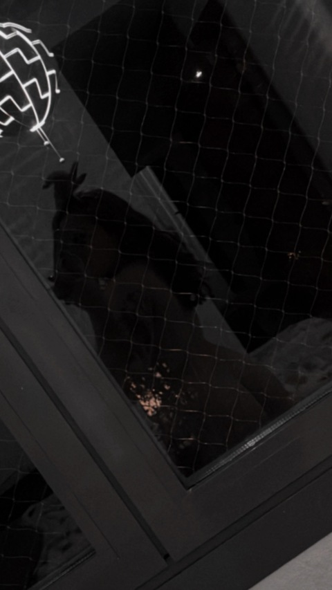 Leaked piniatizada header onlyfans leaked