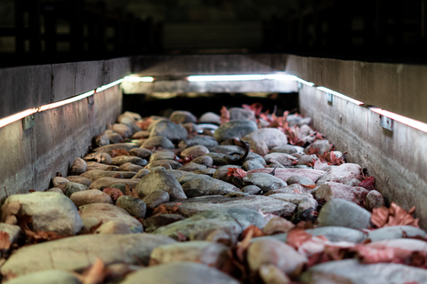 Leaked pinky_ header onlyfans leaked