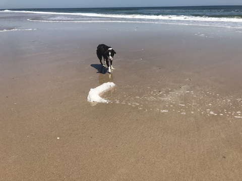 Leaked pocahontas22 header onlyfans leaked