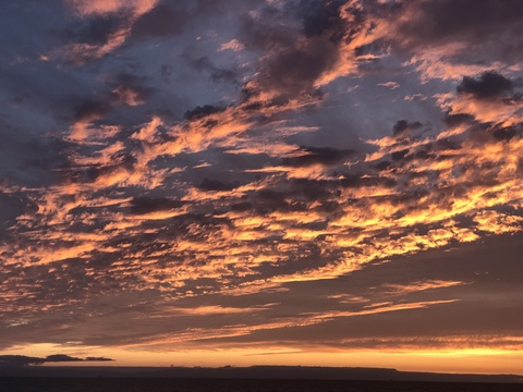 Leaked pr3ttyk1ttyy header onlyfans leaked