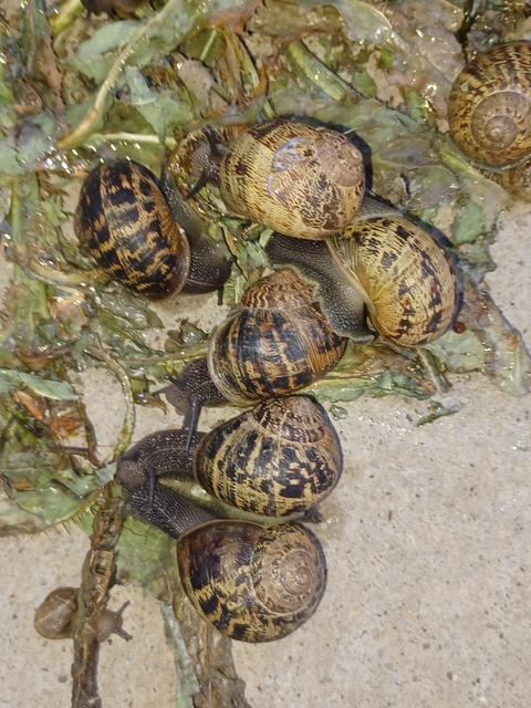 Leaked precious70 header onlyfans leaked