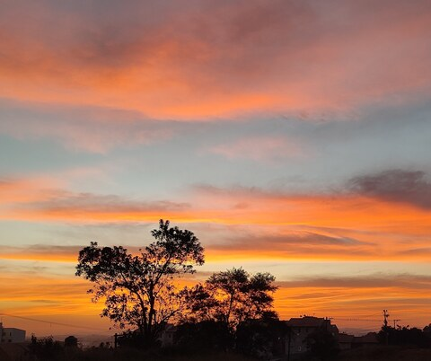 Leaked pretinonly header onlyfans leaked