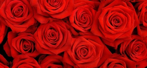 Leaked prettyinked_mandy header onlyfans leaked