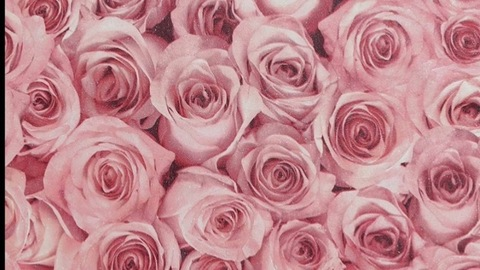 Leaked prettyprettyxxxx header onlyfans leaked