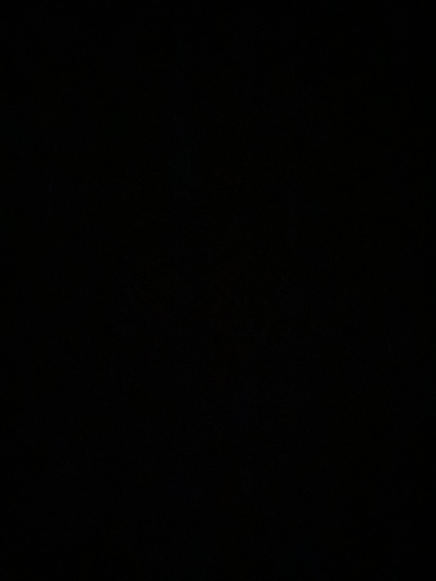 Leaked pricila header onlyfans leaked