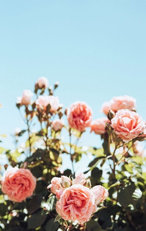 Leaked princessj147 header onlyfans leaked