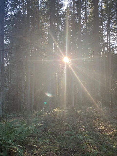 Leaked psyla header onlyfans leaked