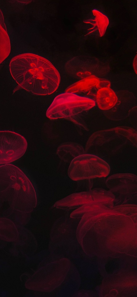 Leaked pxssykvsh header onlyfans leaked