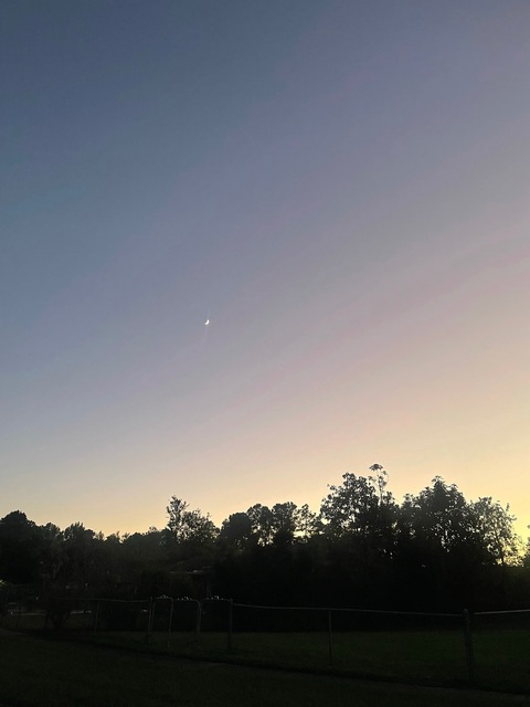 Leaked pyschedelicgoddess2 header onlyfans leaked