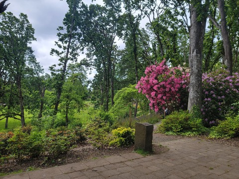 Leaked queen.bean header onlyfans leaked