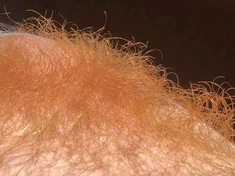 Leaked radbrad header onlyfans leaked