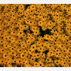 Leaked rainminina onlyfans leaked