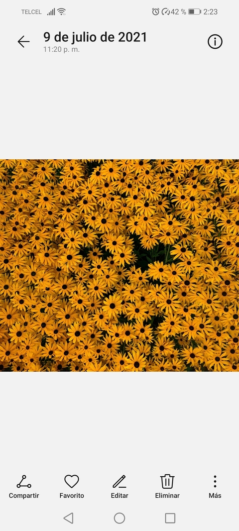 Leaked rainminina header onlyfans leaked