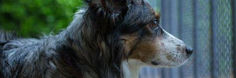 Leaked rand_mia header onlyfans leaked