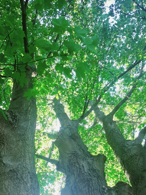 Leaked rebecca_1002 header onlyfans leaked