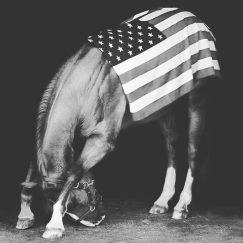 Leaked rebel_country header onlyfans leaked