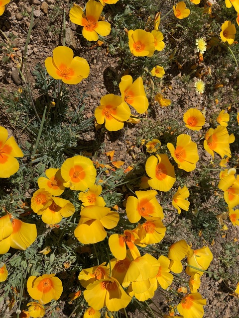 Leaked regularfolk header onlyfans leaked