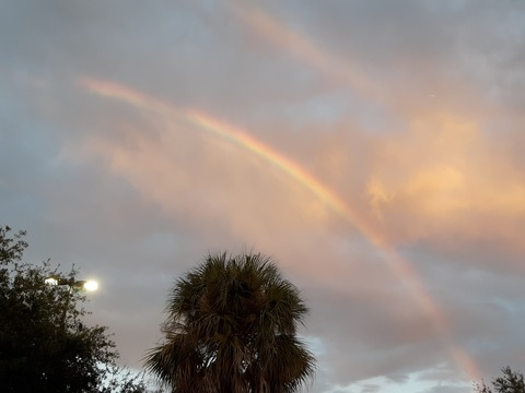 Leaked rhi-chan header onlyfans leaked