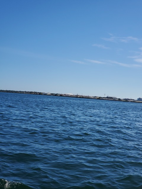 Leaked rhpsbill header onlyfans leaked