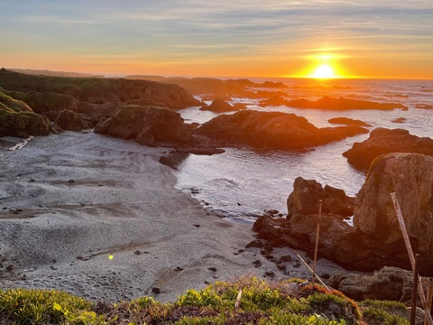 Leaked ricebowl header onlyfans leaked