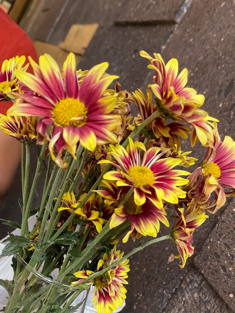 Leaked rick26 header onlyfans leaked