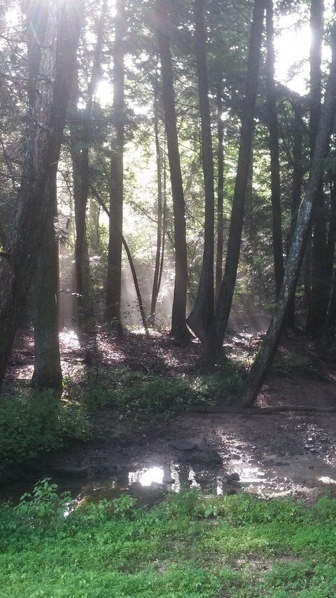 Leaked ridly header onlyfans leaked