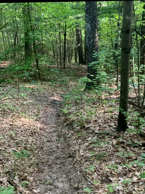 Leaked riversideromanc header onlyfans leaked