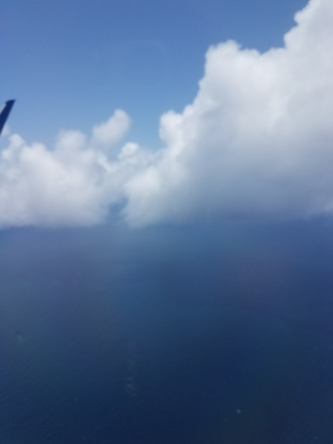 Leaked roddon2669 header onlyfans leaked