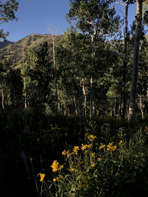 Leaked roseyspeach header onlyfans leaked