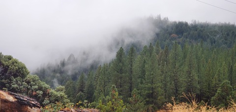 Leaked roseythorns2020 header onlyfans leaked